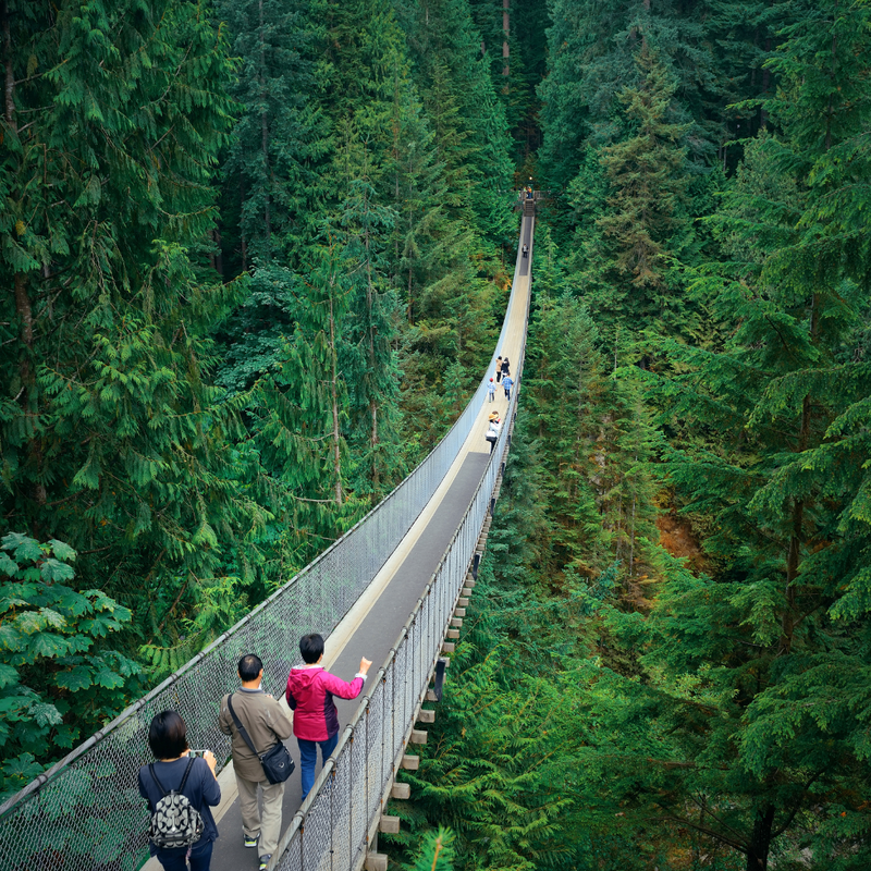 why visit Vancouver, BC? To Visit Capilano Suspension Bridge 